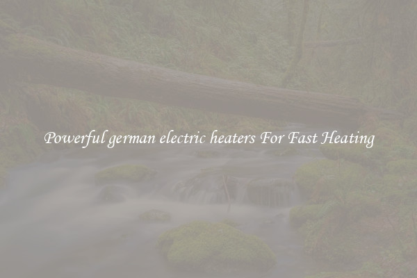 Powerful german electric heaters For Fast Heating