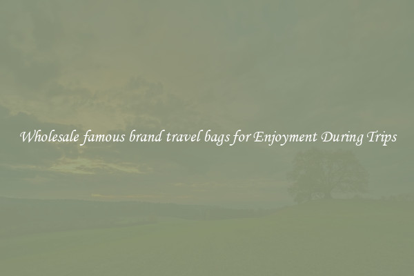 Wholesale famous brand travel bags for Enjoyment During Trips