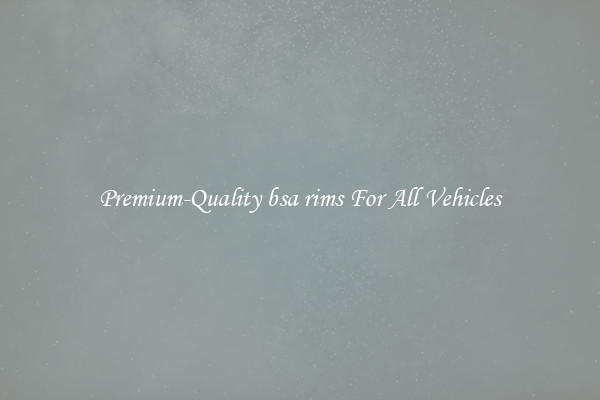Premium-Quality bsa rims For All Vehicles
