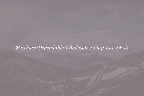 Purchase Dependable Wholesale 855ap 1a c 24vdc