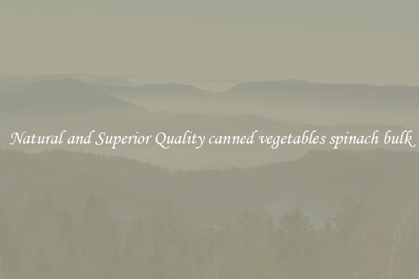 Natural and Superior Quality canned vegetables spinach bulk