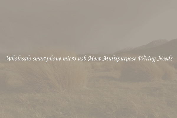 Wholesale smartphone micro usb Meet Multipurpose Wiring Needs