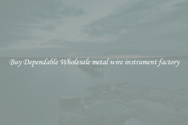 Buy Dependable Wholesale metal wire instrument factory