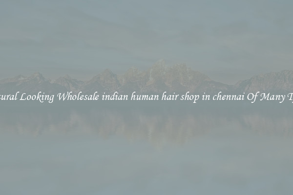 Natural Looking Wholesale indian human hair shop in chennai Of Many Types