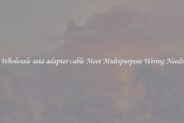 Wholesale sata adapter cable Meet Multipurpose Wiring Needs