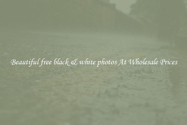 Beautiful free black & white photos At Wholesale Prices