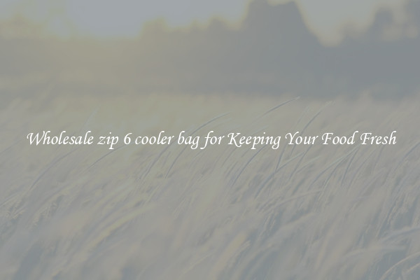 Wholesale zip 6 cooler bag for Keeping Your Food Fresh