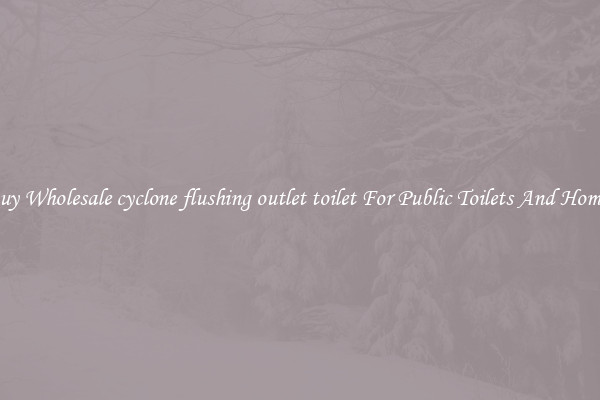 Buy Wholesale cyclone flushing outlet toilet For Public Toilets And Homes