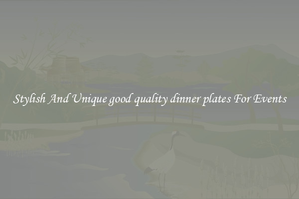 Stylish And Unique good quality dinner plates For Events