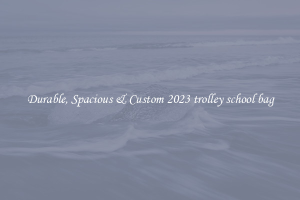 Durable, Spacious & Custom 2023 trolley school bag
