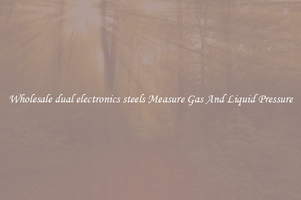 Wholesale dual electronics steels Measure Gas And Liquid Pressure