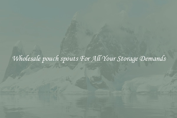 Wholesale pouch spouts For All Your Storage Demands