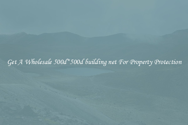 Get A Wholesale 500d*500d building net For Property Protection
