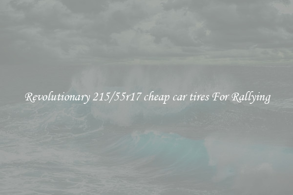 Revolutionary 215/55r17 cheap car tires For Rallying