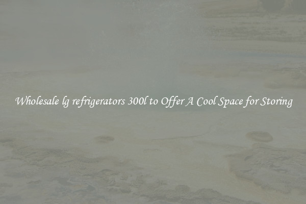 Wholesale lg refrigerators 300l to Offer A Cool Space for Storing